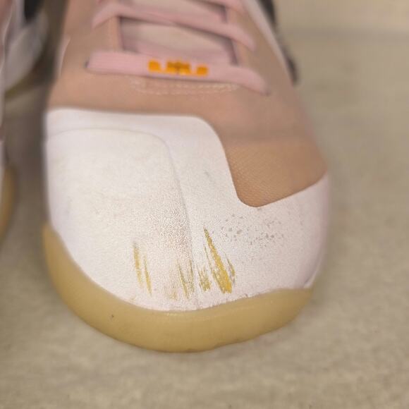 Nike Lebron James IX 9 King of LA Regal Pink Men's 11 Velvet Brown Basketball - Picture 2 of 13